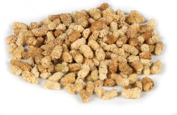 DOĞAL DUT KURUSU 1 KG VAKUMLU