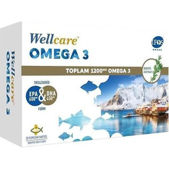 Wellcare Omega 3 Balık Yağı 1200 mg 30 Kapsül