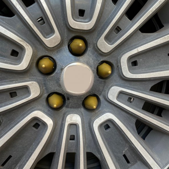 Sivri Mermi Bijon Kapağı Sökme Aparatlı 20 li Set 17 mm-19 mm ALTIN - 3