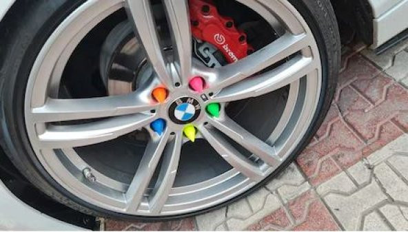 Sivri Mermi Bijon Kapağı Sökme Aparatlı 20 li Set 17 mm-19 mm KROM - 5