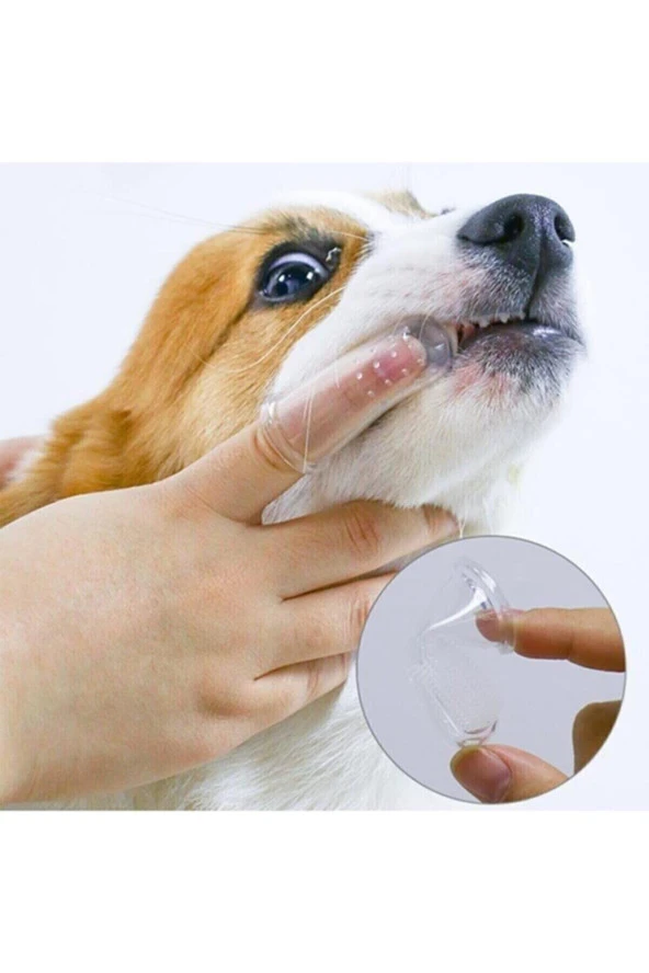 Kedi Köpek  Parmak Diş Fırçası Slikon Evcil Hayvan Diş Fırçası Yumuşak Tartar Diş Kaşıyıcı - 5
