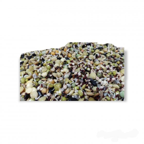 Çimlendirmelik 14 Çeşit Tohum 250Gr (Filizlendirmelik) - 5