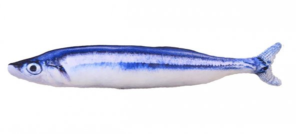 Balık Şekilli Catnipli Peluş Kedi Oyuncak 20 cm İnce