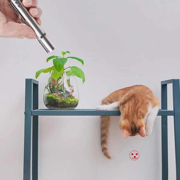 Metal Usb Şarjlı Uv Işık ve Figürlü Kedi Lazeri - 2