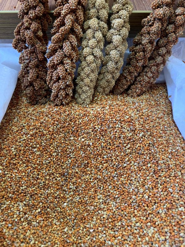 Dal Darıdan Elenmiş Kızıldarı (Elenmiş Kızıl Darı ) 250gr - 2
