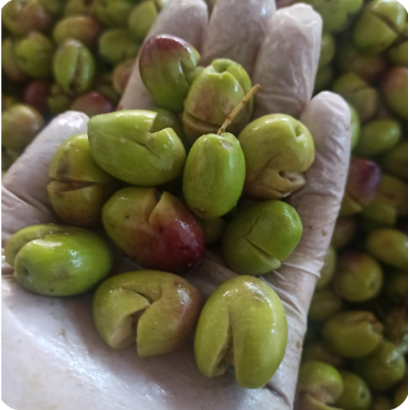 Yeşil kırma zeytin (3 kg lık pet kavanoz 2 kg zeytin) - 3