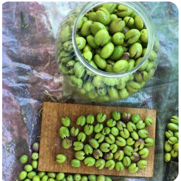 Yeşil kırma zeytin (5 kg lık bidonda 3,300 gr)