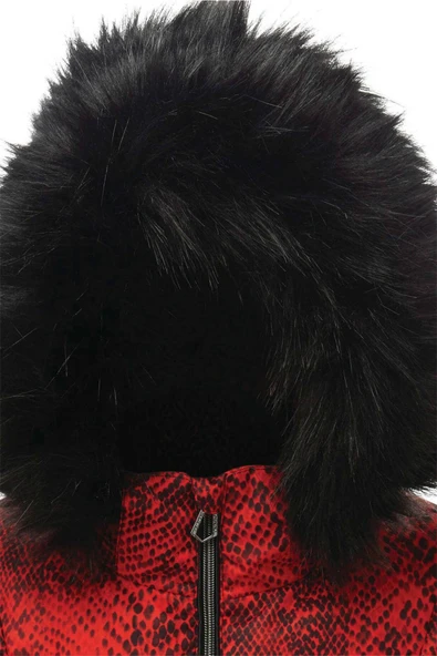 Dare 2b DWP479 - Glamorize II Kadın Kayak Montu - Resim 2