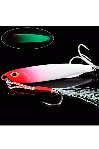 JigYem20gr Lures SahteYem Rapala Levrek Lüfer AilesizokaYemSuniYem s2 - 4