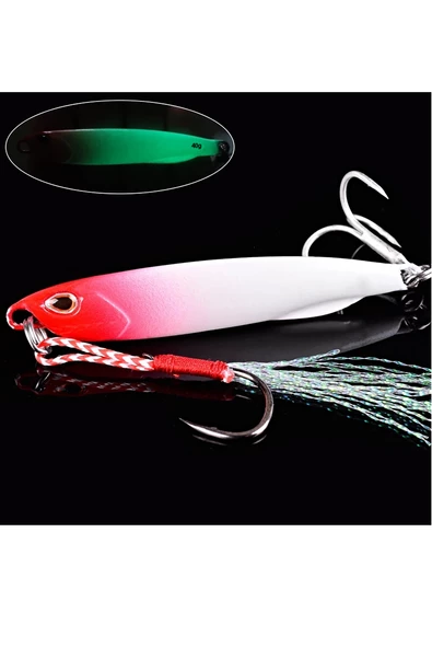 JigYem40gr Lures SahteYem Rapala Levrek Lüfer AilesizokaYemSuniYem s2 - 4