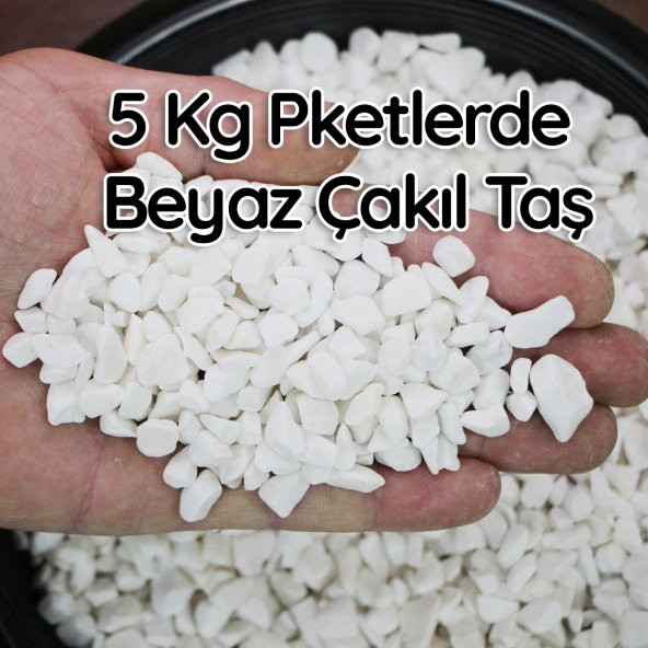 5 KgBeyaz Çakıl Taşı Teraryum Süsü Fanus Çakıl Taşı Dekoratif Akvaryum Taşı1-2 cm çaplı