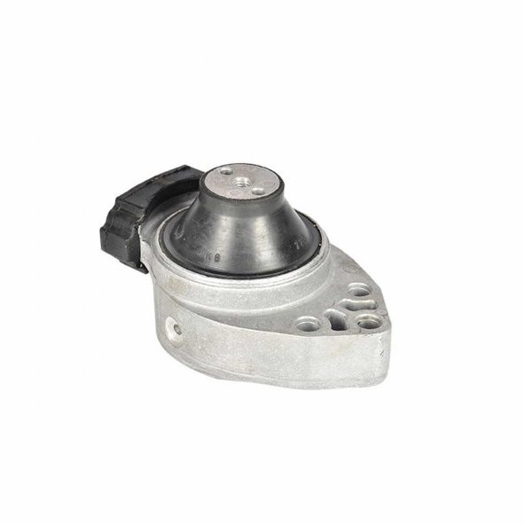 Ford Fiesta Fusion Dizel Motor Takozu