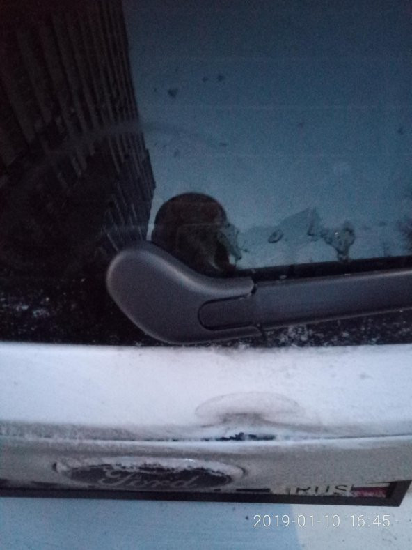 Focus Mk3 Arka Silecek Kol Kapağı 2011-2018 BM51T04178AA - 5