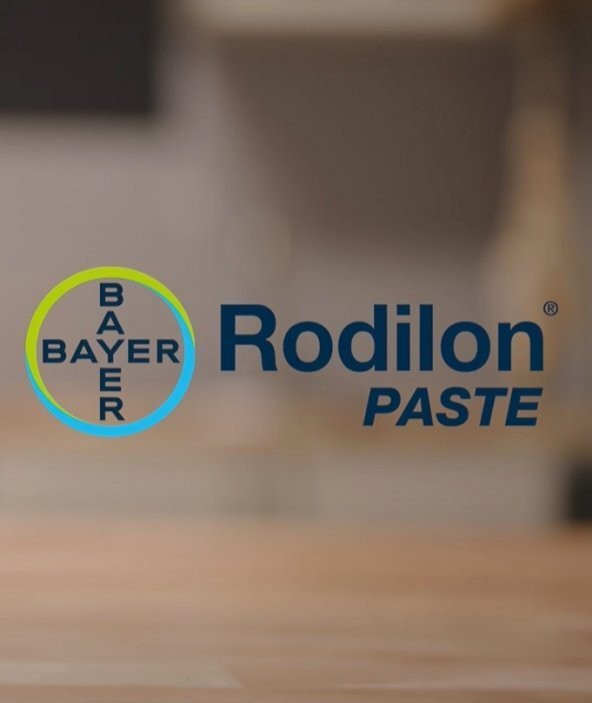 Bayer Rodilon Paste Fare Pastası 100 Gram Fare ve Sıçanlar için Hazır Pasta Yem - 2