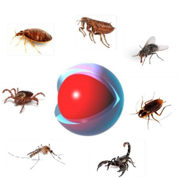 TetraCon CS 50 ml Sinek Tahta Kurusu Pire Akrep Haşere İlacı skt: 07/2024 - 2