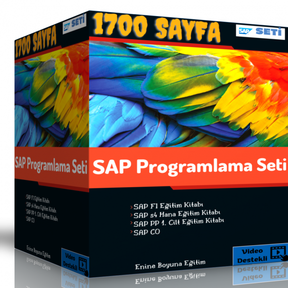 SAP Programlama Eğitim Seti (4 Süper Kitap)