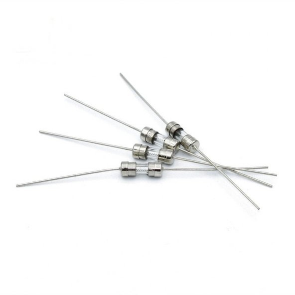 T4.0A 3.6 10mm 250V Çift Pin Hızlı Darbe Cam Sigorta x 1 Adet (rf041)