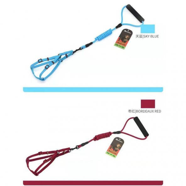 ANS 2017 Karışık Renk Fitil Gezdirmeli 5-12Kg Köpek Göğüs Tasması 0,8mm