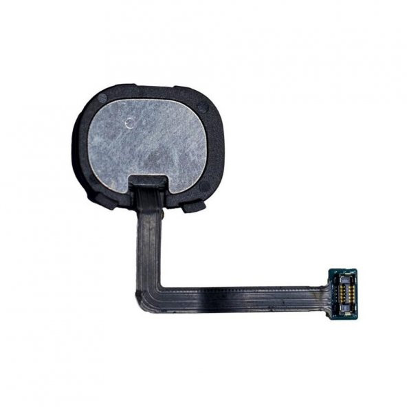 Samsung Galaxy M20 Orta Home Tuş Filmi SM-M205F - 2