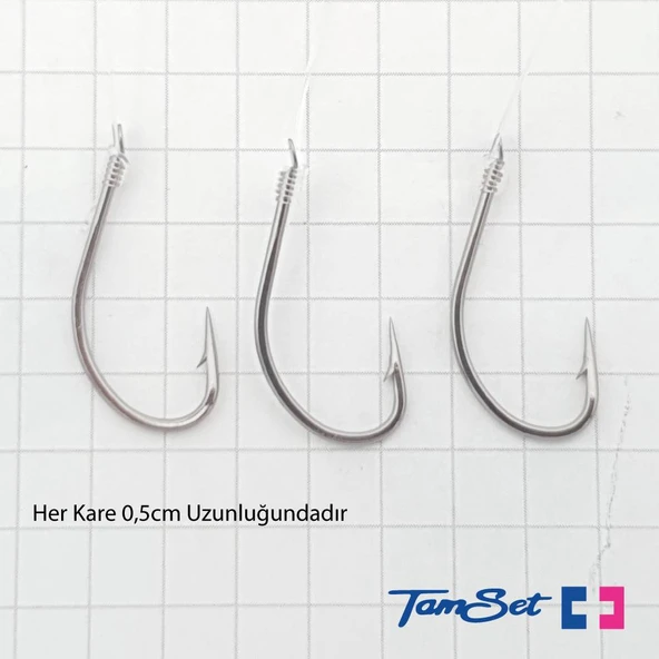 TAMSET 3 İğneli Yemli Dip Sazan Olta Takımı - Resim 2