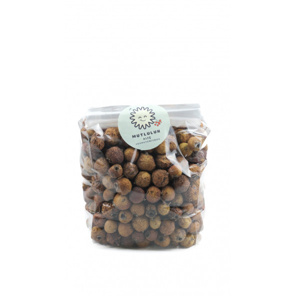 KUŞBURNU MEYVE KURUSU ÇAYI DOĞAL KIŞ ÇAYI BİTKİ ÇAYI 500GR - 2