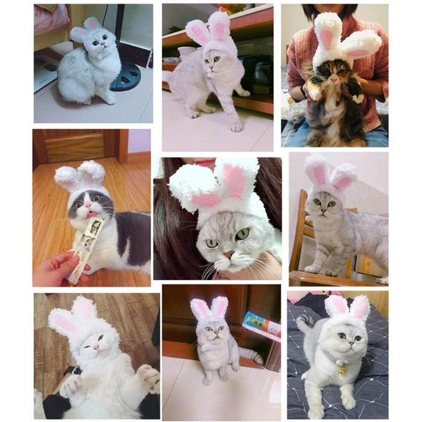 Tavşan Kulaklı Kedi Köpek Şapkası 30-34 cm - 5