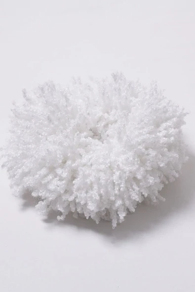 Kadın Beyaz Arapsaçı Topuz Tokası