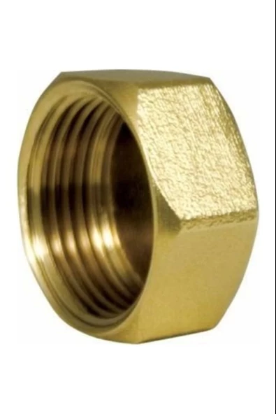 Sarı Dişi Körtapa 1" ürün görseli 1