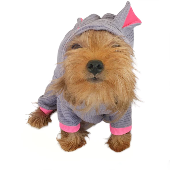 Sweet Bunny Kulaklı Köpek Tulumu Kıyafeti - 4