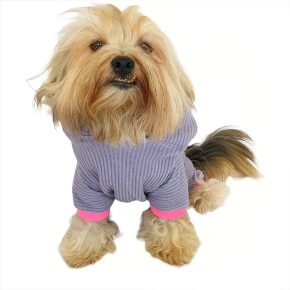 Sweet Bunny Kulaklı Köpek Tulumu Kıyafeti - 2