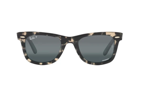 Ray-Ban RB2140 1333G6 50 Polarize Chromance Unisex Güneş Gözlüğü - Resim 2