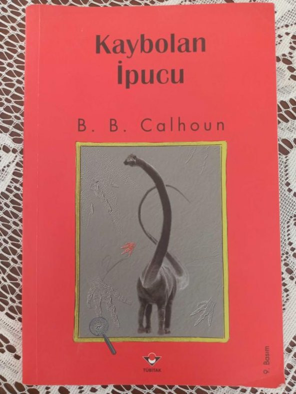 KAYBOLAN İPUCU ürün görseli 1