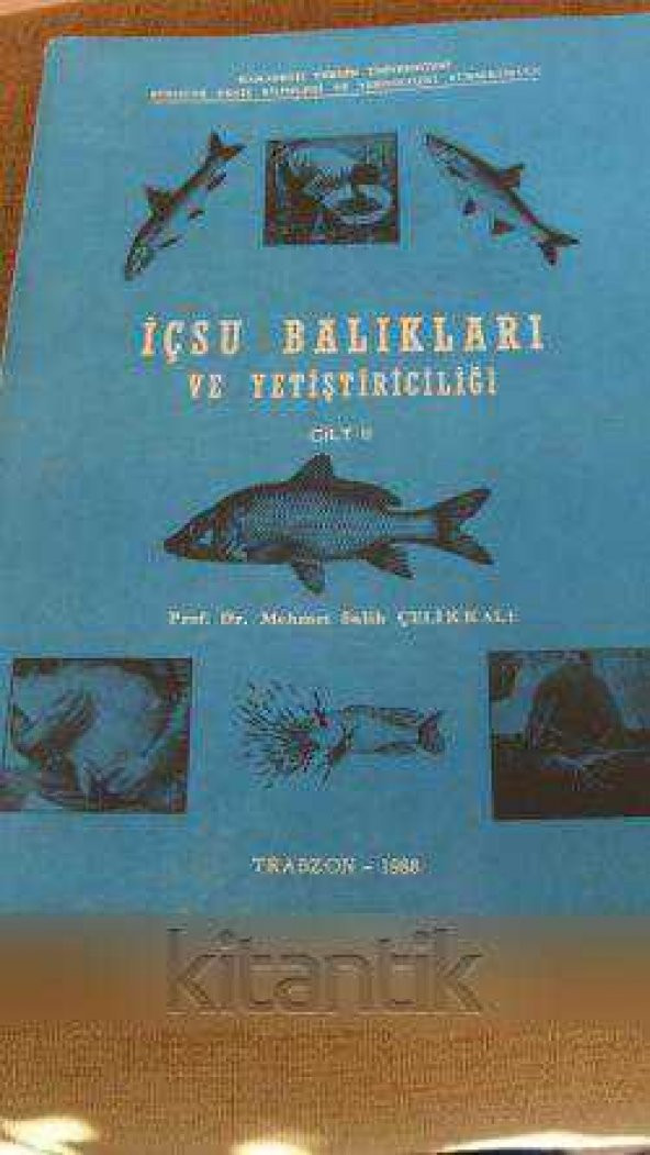 İÇSU BALIKLARI  VE YETİŞTİRİCİLİĞİ  Cilt: 2