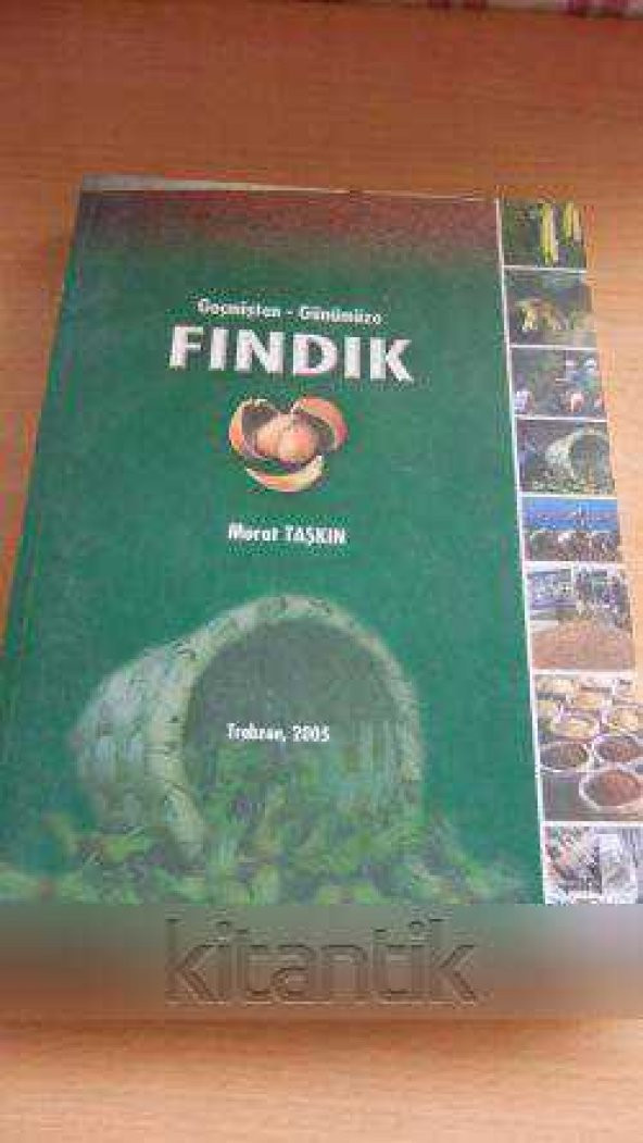 Geçmişten - Günümüze  FINDIK