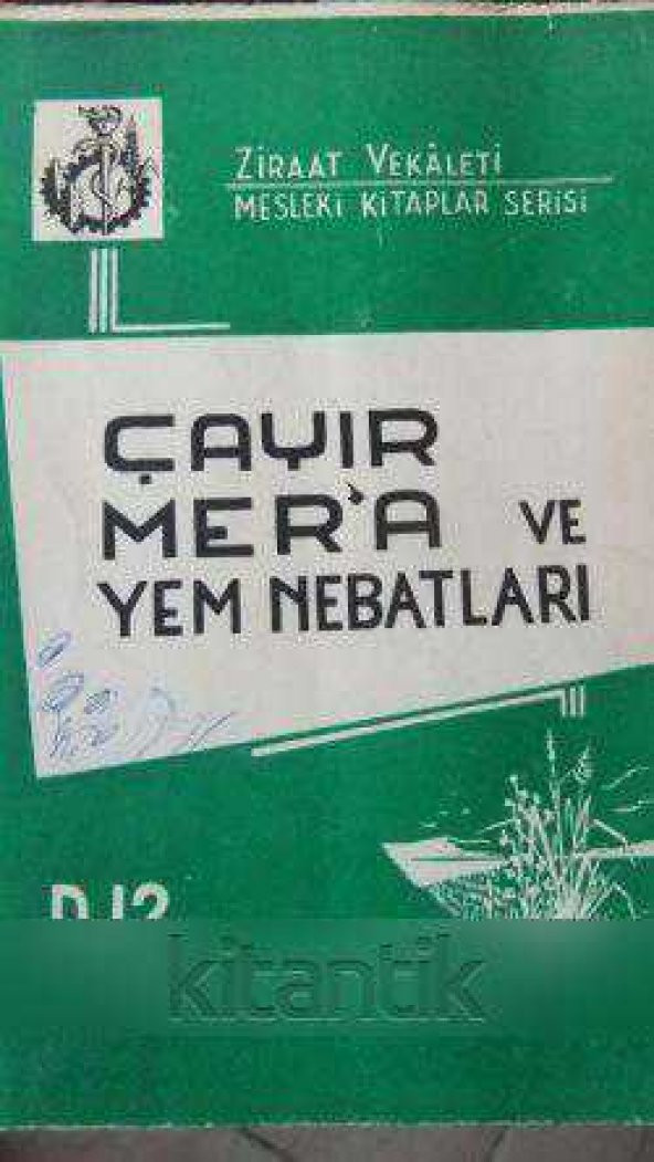 ÇAYIR  MER'A ve YEM NEBATLARI ürün görseli 1