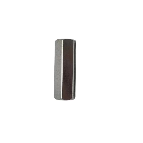 1" BSP HİDROLİK HAT TİPİ ÇEK VALF