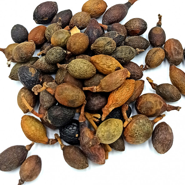 Naturdan Defne Tohumu 250 gr - 2