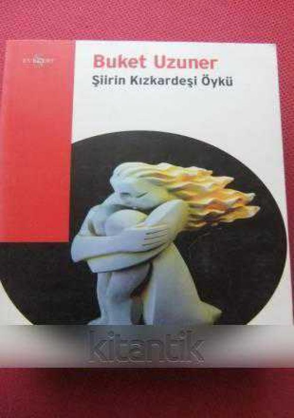ŞİİRİN KIZKARDEŞİ ÖYKÜ ürün görseli 1