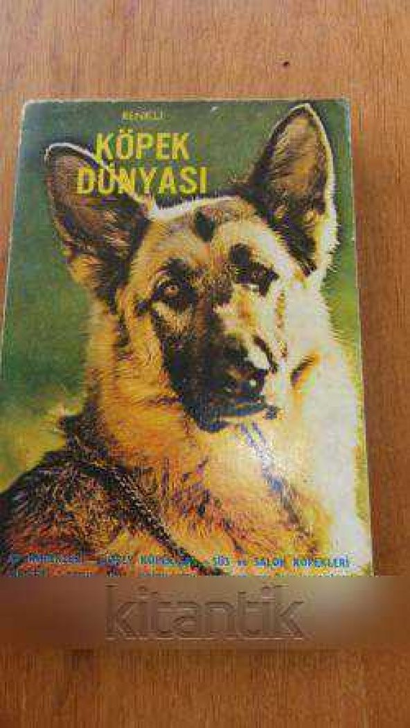 Renkli  KÖPEK DÜNYASI