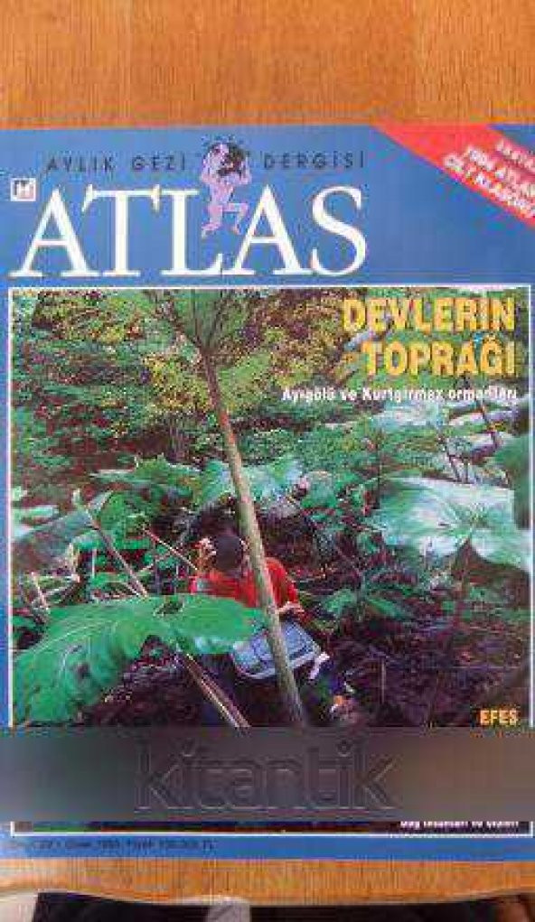 ATLAS   Aylık Gezi Dergisi   Sayı: 22 / Ocak  1995  /  DEVLERİN TOPRAĞI  Ayıgölü ve Kurtgirmez Ormanları