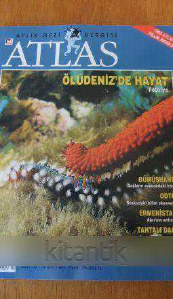 ATLAS   Aylık Gezi Dergisi   Sayı: 33  /  Aralık 1995  / ÖLÜDENİZ'DE  HAYAT  Fethiye