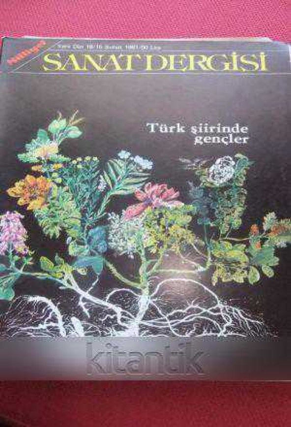 MİLLİYET SANAT DERGİSİ  *  Yeni Dizi 18  /  15 ŞUBAT  1981 * TÜRK ŞİİRİNDE  GENÇLER