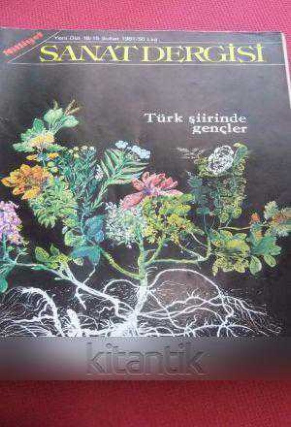 MİLLİYET SANAT DERGİSİ  *  Yeni Dizi 18  /  15 Şubat  1981  *  TÜRK ŞİİRİNDE GENÇLER