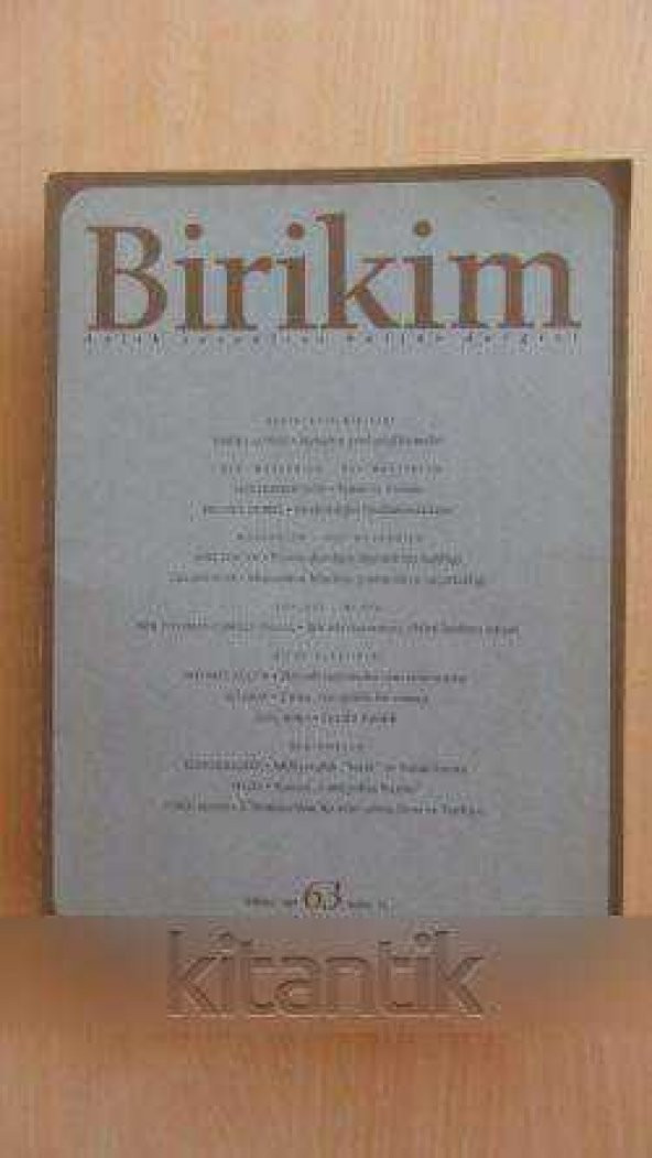 BİRİKİM  Aylık Sosyalist Kültür Dergisi  Sayı: 63 *  Temmuz 1994
