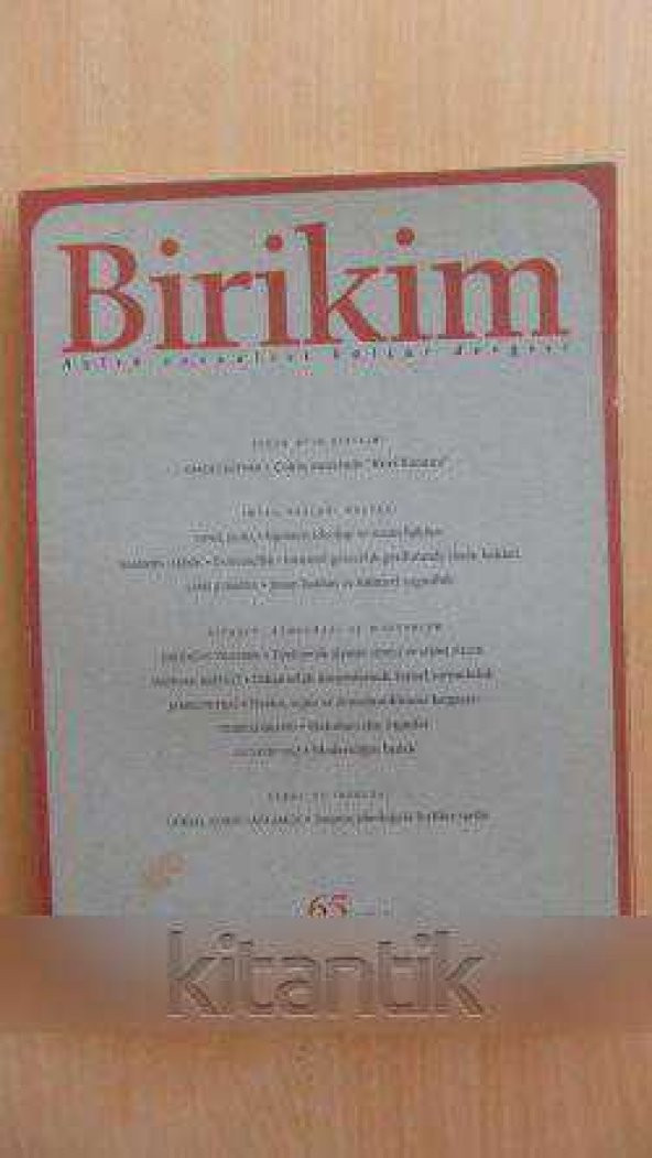 BİRİKİM  Aylık Sosyalist Kültür Dergisi  Sayı: 65 *  Eylül 1994