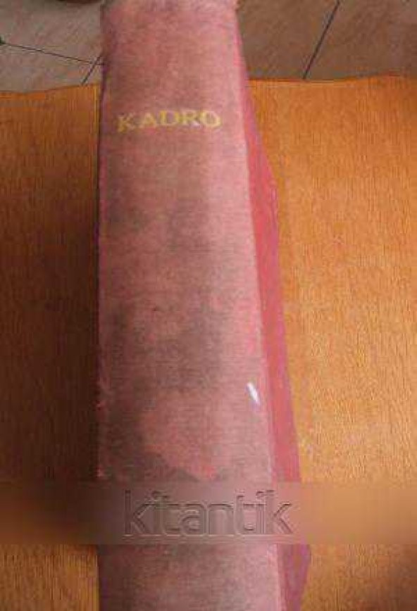 KADRO  Aylık Fikir Mecmuası    ( SAYI 13 ' TEN BAŞLAYARAK SAYI 24 DAHİL OLMAK ÜZERE TOPLAM  12 SAYI  )  1933