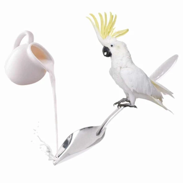 Papağan Elle Besleme Kaşığı