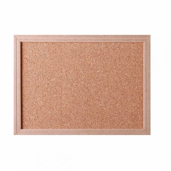 MANTAR PANO 30X40 CM AHŞAP ÇERÇEVE ÜCRETSİZ KARGO