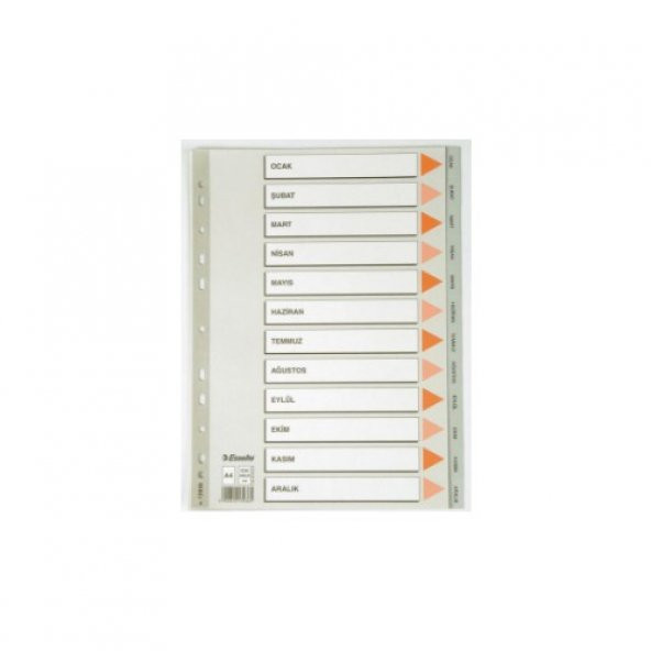 ESSELTE SEPARATÖR A4 AYLAR SLT-13936