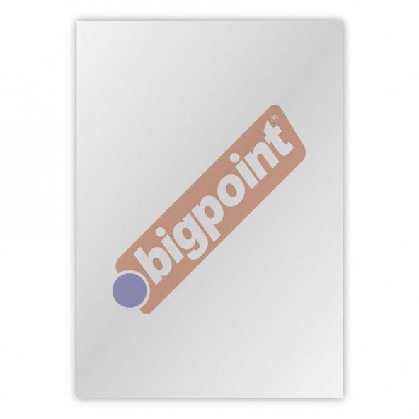 Bigpoint A4 Cilt Kapağı 150 Mikron Şeffaf 100'lü Paket